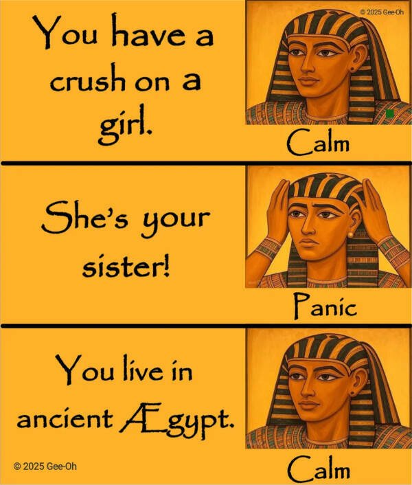 Funny Memes (24 pics)