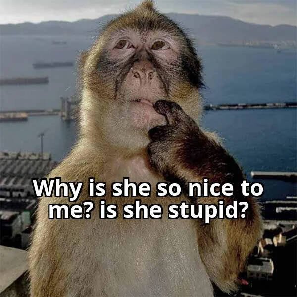 Funny Memes (24 pics)