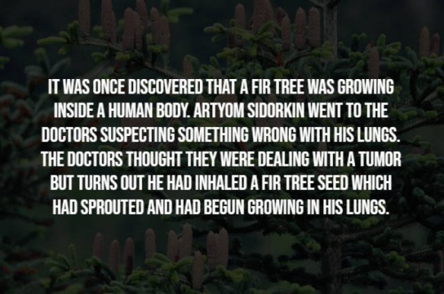 Creepy Facts (15 pics)