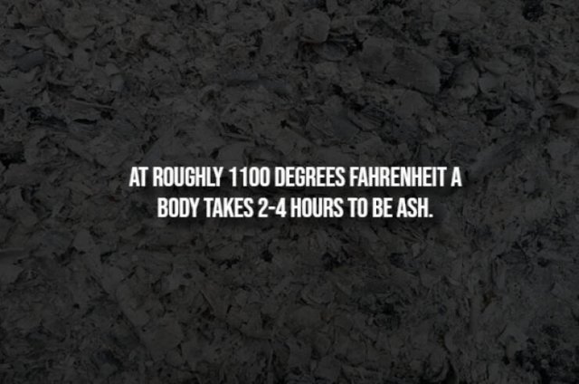 Creepy Facts (15 pics)