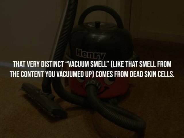 Creepy Facts (15 pics)