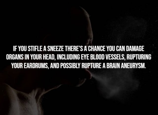 Creepy Facts (15 pics)