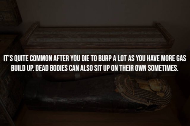 Creepy Facts (15 pics)