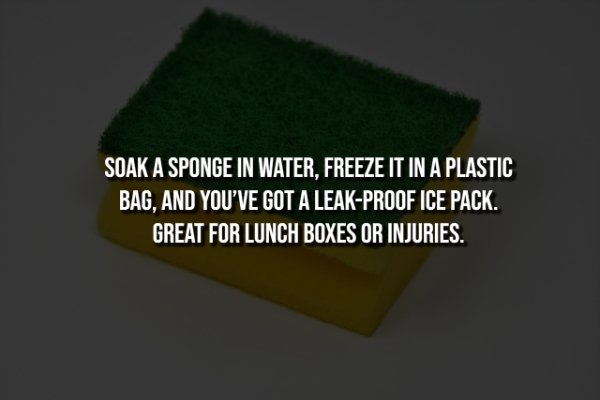 Useful Lifehacks (19 pics)