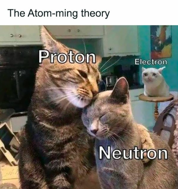Science Memes (25 pics)