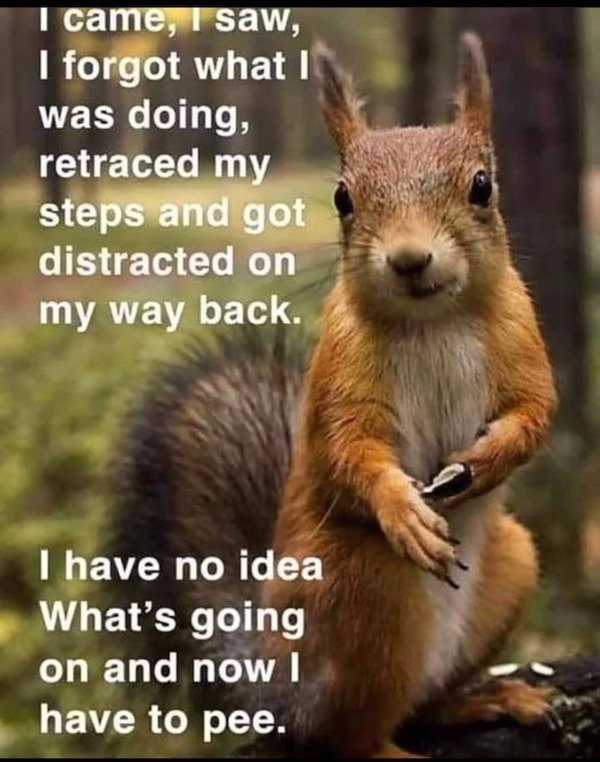 Random Memes (30 pics)