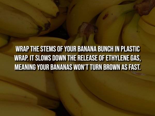 Useful Lifehacks (19 pics)