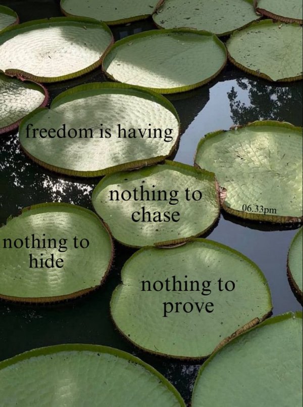 This Is Freedom (18 pics)