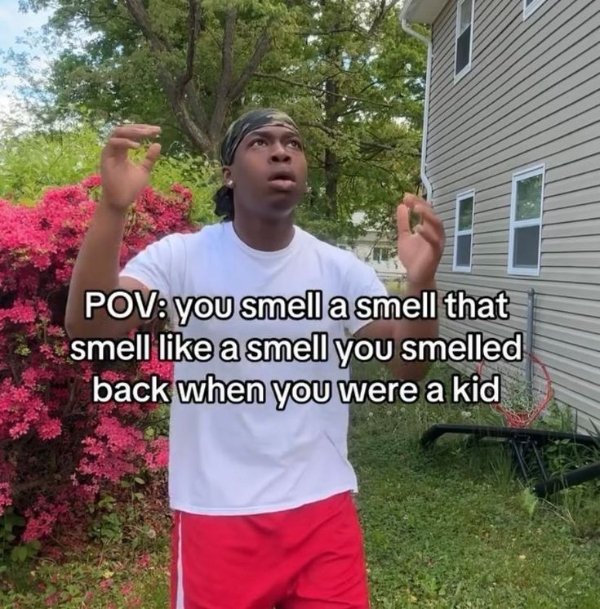 Truthful Memes (25 pics)