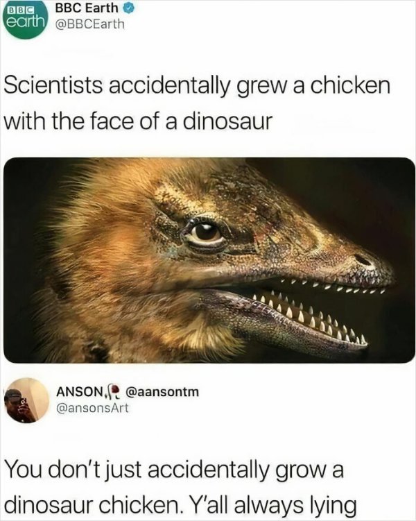 Science Memes (25 pics)
