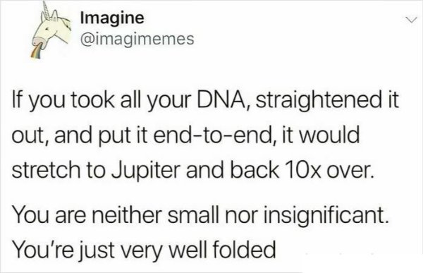Science Memes (25 pics)