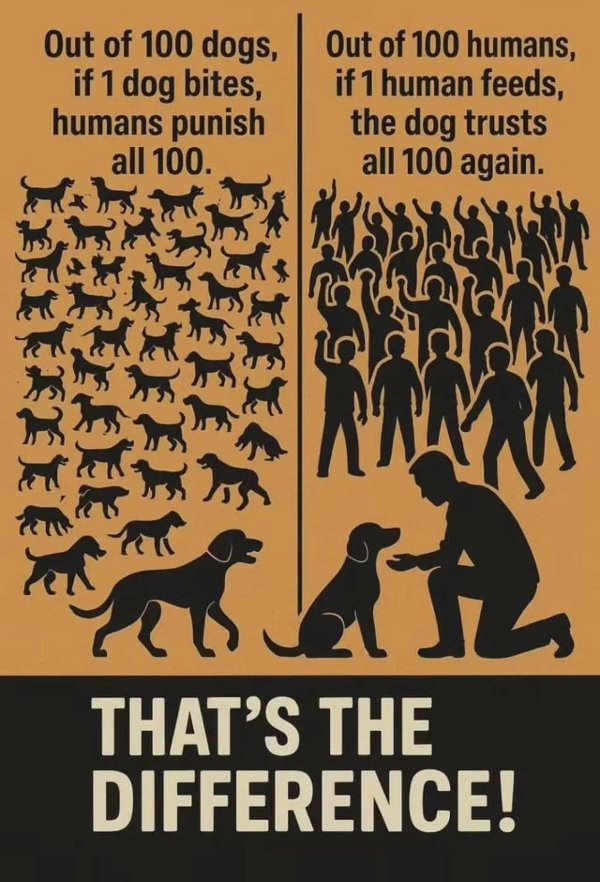 Wise Thoughts (30 pics)