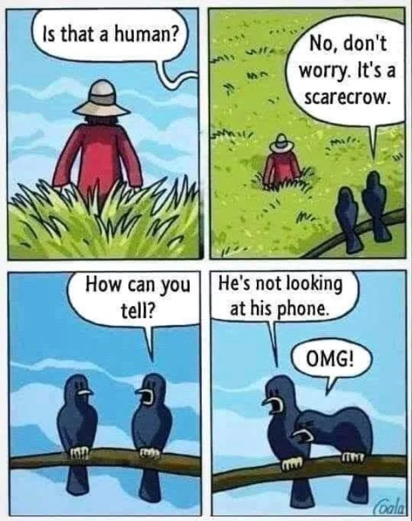Wise Thoughts (30 pics)