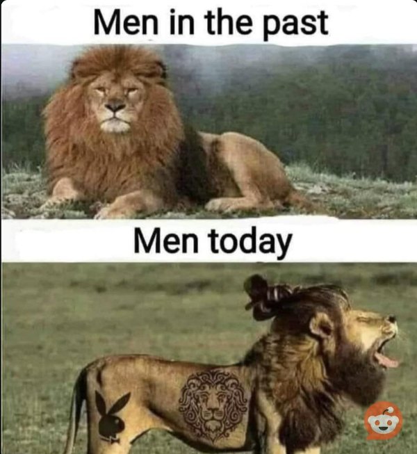 Wise Thoughts (30 pics)