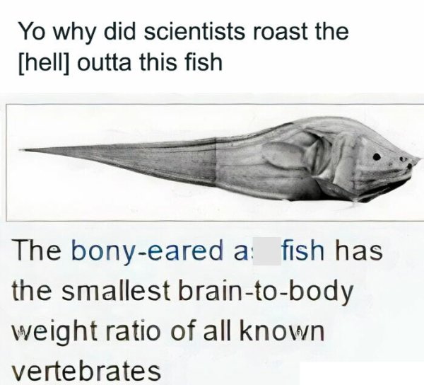 Science Memes (25 pics)