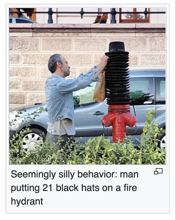 What Is Going On Here? (27 pics)