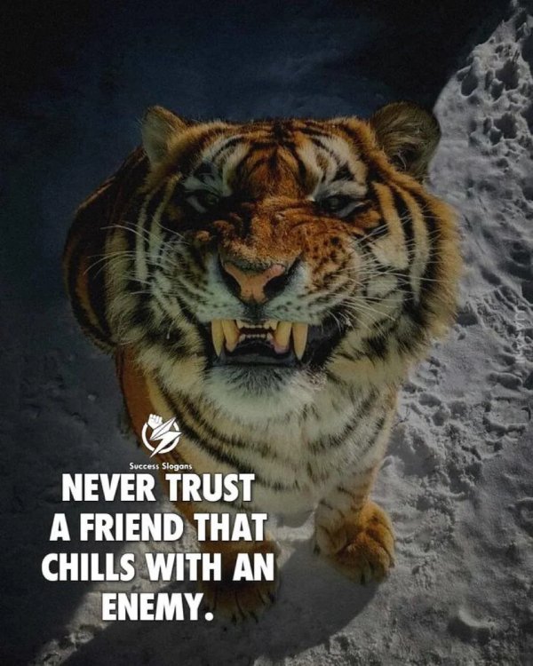 Wise Thoughts (30 pics)