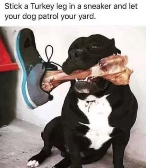 Random Memes (30 pics)