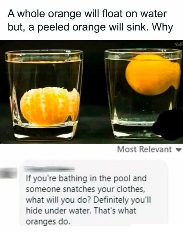 Science Memes (25 pics)