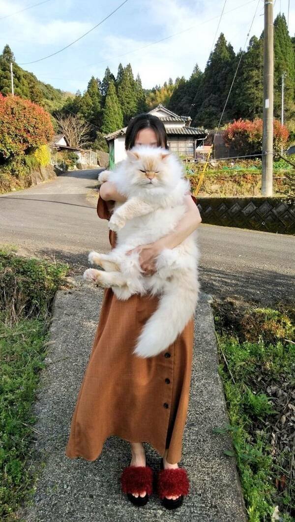 Giant Things (16 pics)
