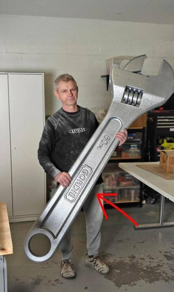 Giant Things (16 pics)