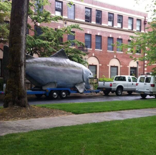 Giant Things (16 pics)