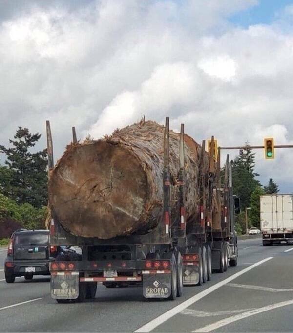 Giant Things (16 pics)