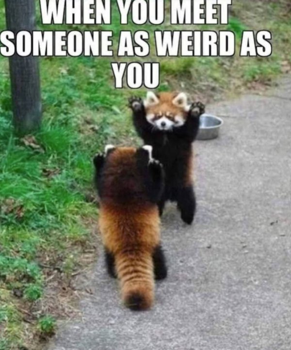 Funny Memes (25 pics)