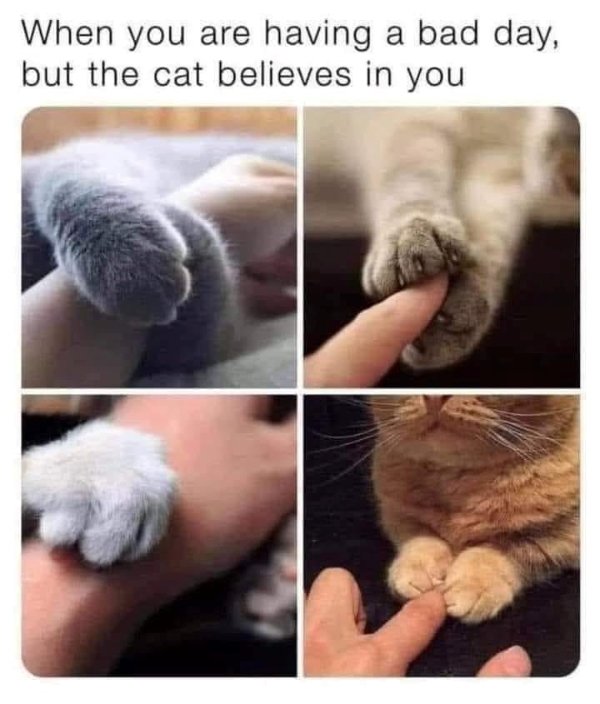 Funny Memes (25 pics)