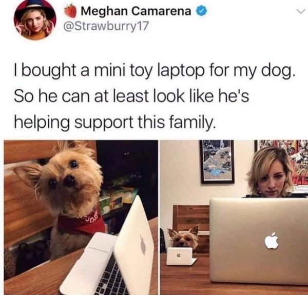 Funny Memes (25 pics)