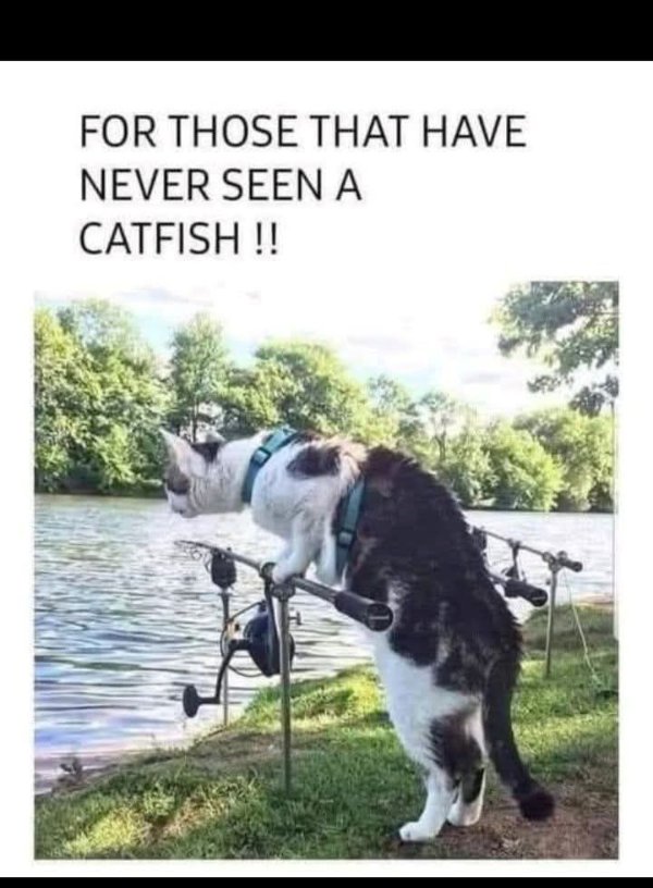 Funny Memes (25 pics)