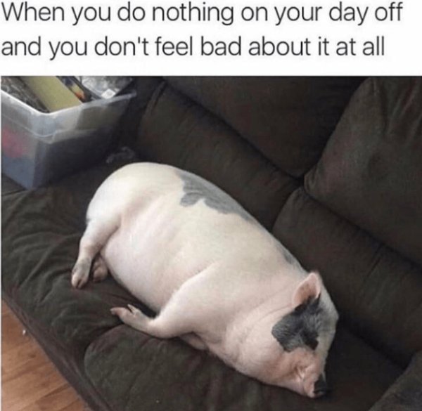Funny Memes (25 pics)