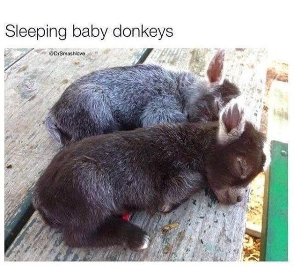 Funny Memes (25 pics)