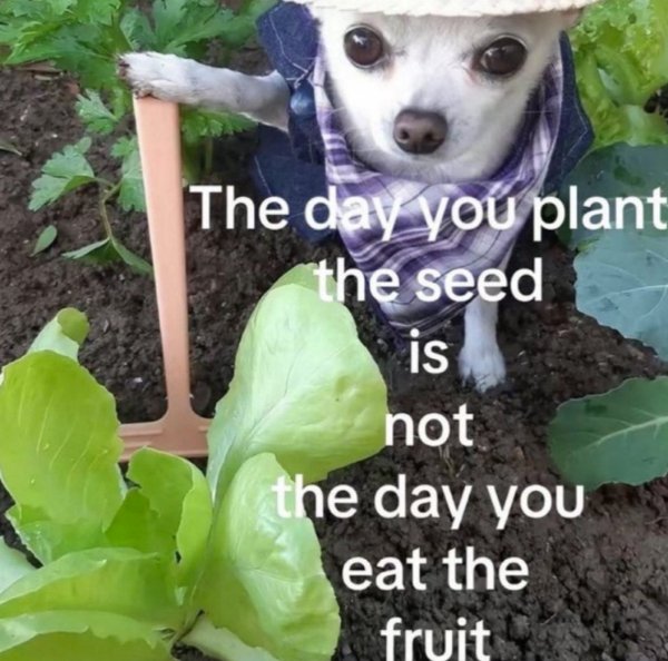 Funny Memes (25 pics)