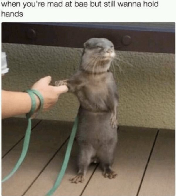 Funny Memes (25 pics)