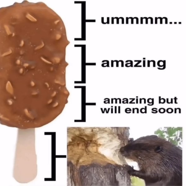 Food Memes (31 pics)