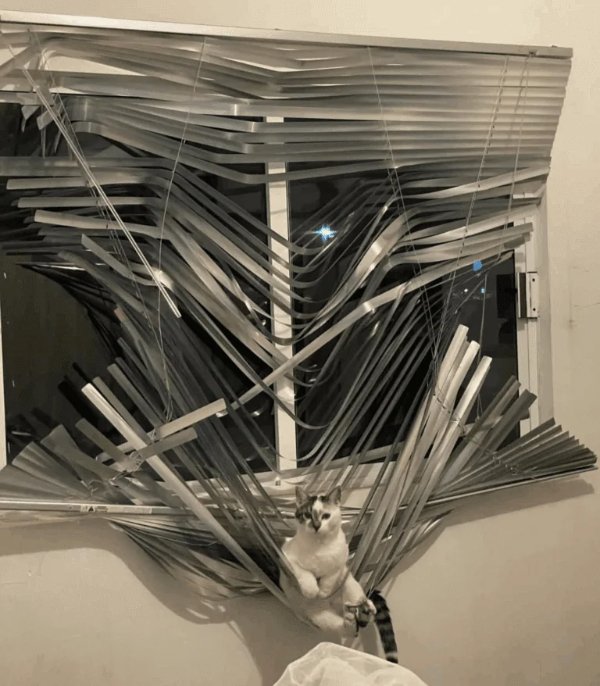 What Is Going On Here? (28 pics)