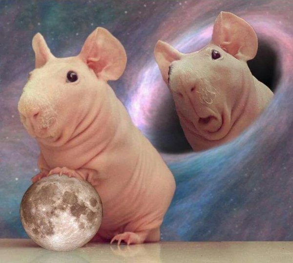 What Is Going On Here? (28 pics)