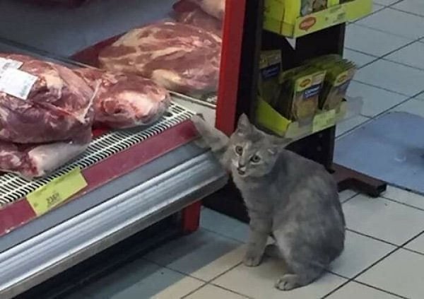 Appetizing Photos (32 pics)