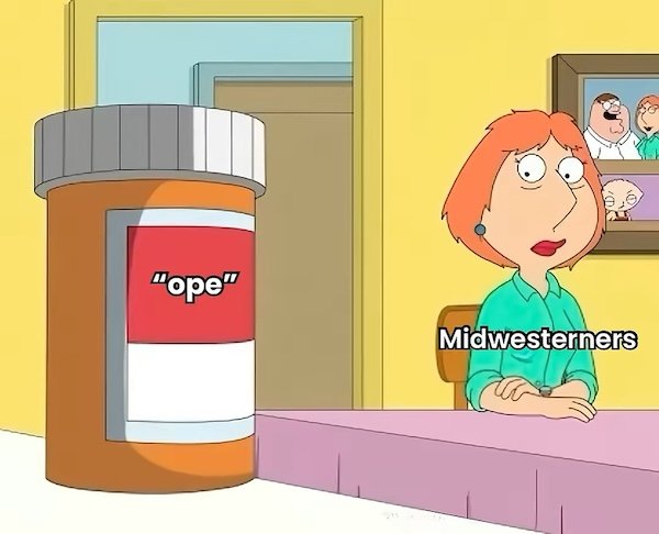 Memes About Midwest (21 pics)