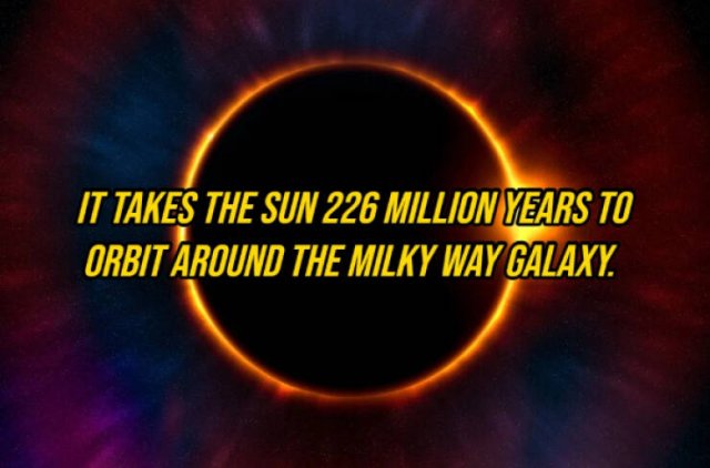 Random Facts (14 pics)