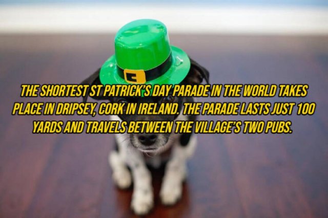 Random Facts (14 pics)