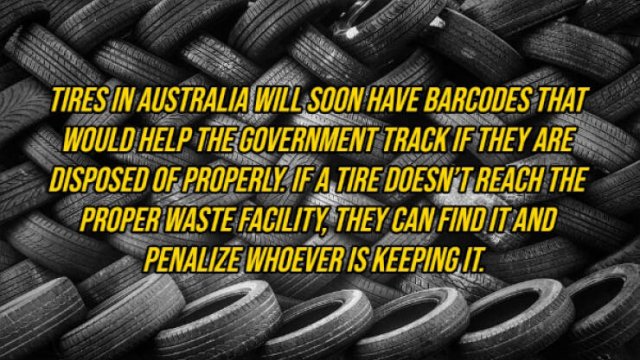 Random Facts (14 pics)