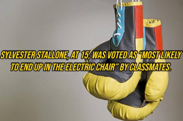 Random Facts (14 pics)