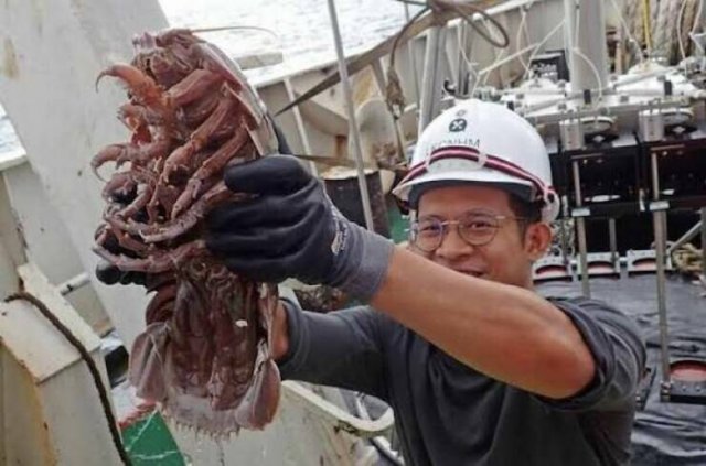 Scary Photos (25 pics)