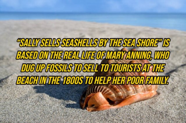 Random Facts (14 pics)