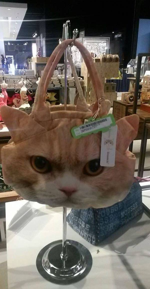 Awful Fashion (31 pics)