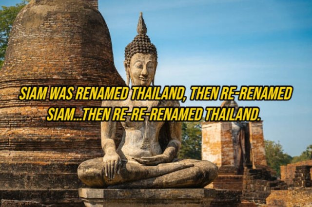 Random Facts (14 pics)