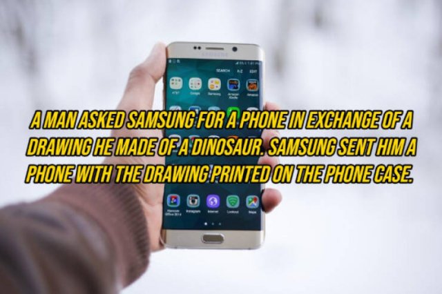 Random Facts (14 pics)