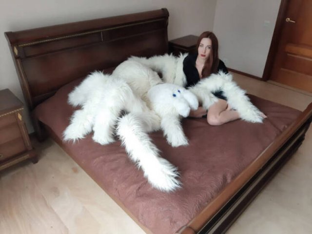 Scary Photos (25 pics)